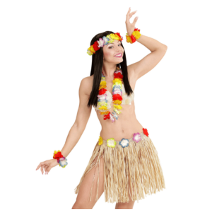 Hawaii Costumes
