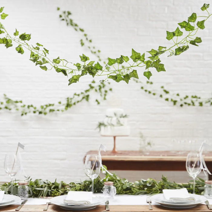 Ivy leaf vines 5x - 2 m