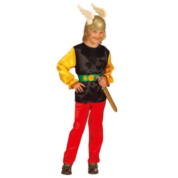 Gallic Warrior Costume for Boys
