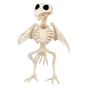 Bird Skeleton Decoration - 16x14x18 cm