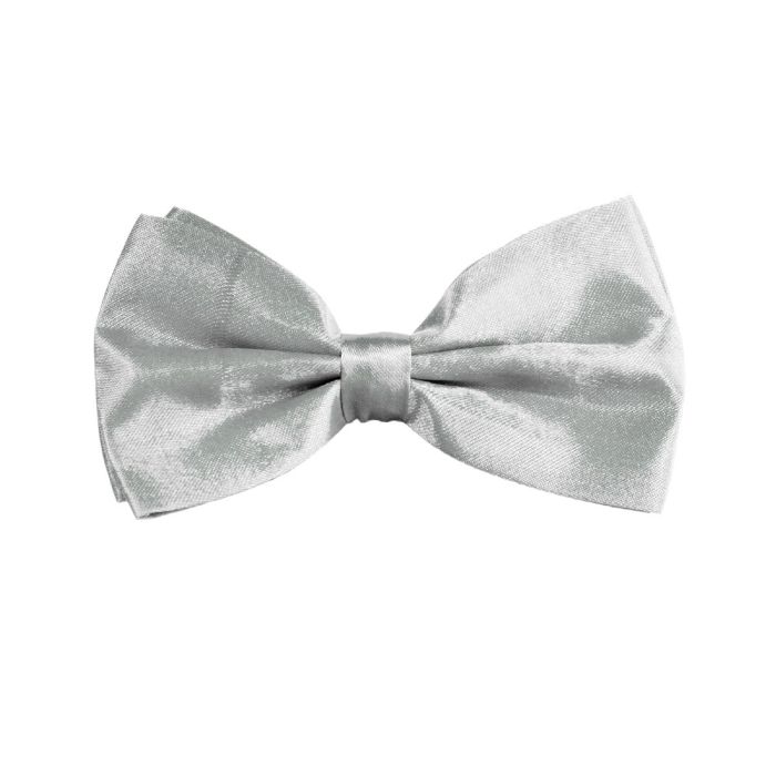 Silver Butterfly