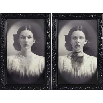 Creepy 3D Halloween portrait with changing image 38x25 cm - Lady portrait