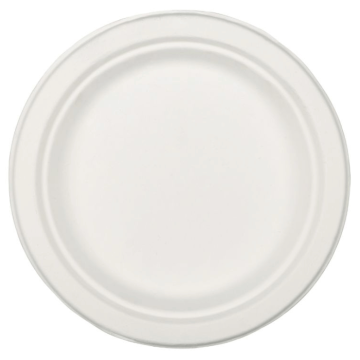 26 cm plate 20x biodegradable