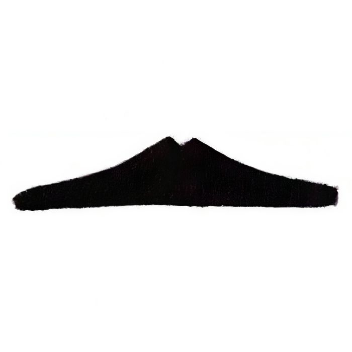 Black triangular beard