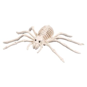 Spider Skeleton Decoration - 23x14 cm
