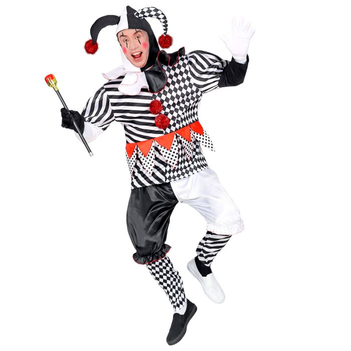 Harlequin Costume for Men