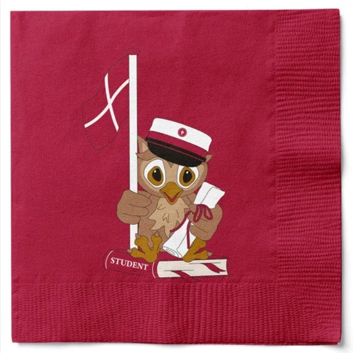Napkins with owl and red student cap 20x Det Gamle Apotek