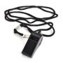 Whistle
