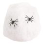 Cobweb With Spiders