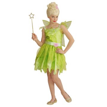 Forest Fairy Costume with Wings for Girls