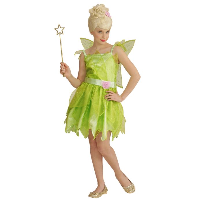 Forest Fairy Costume with Wings for Girls