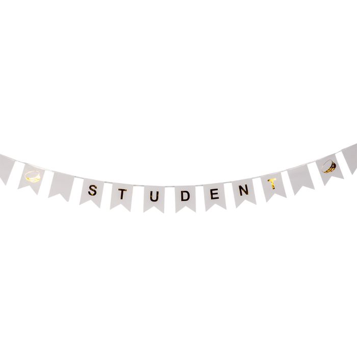 Student banner garland with flags 3 m