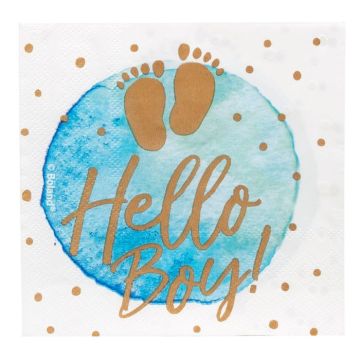 Blue and white napkins with lettering for boys 20x - 33x33 cm