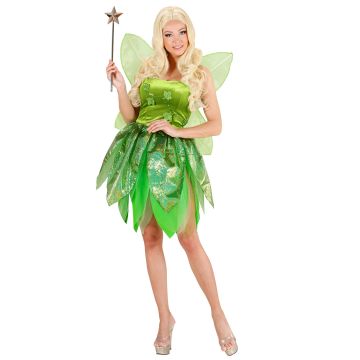 Forest Fairy Costume with Wings for Ladies