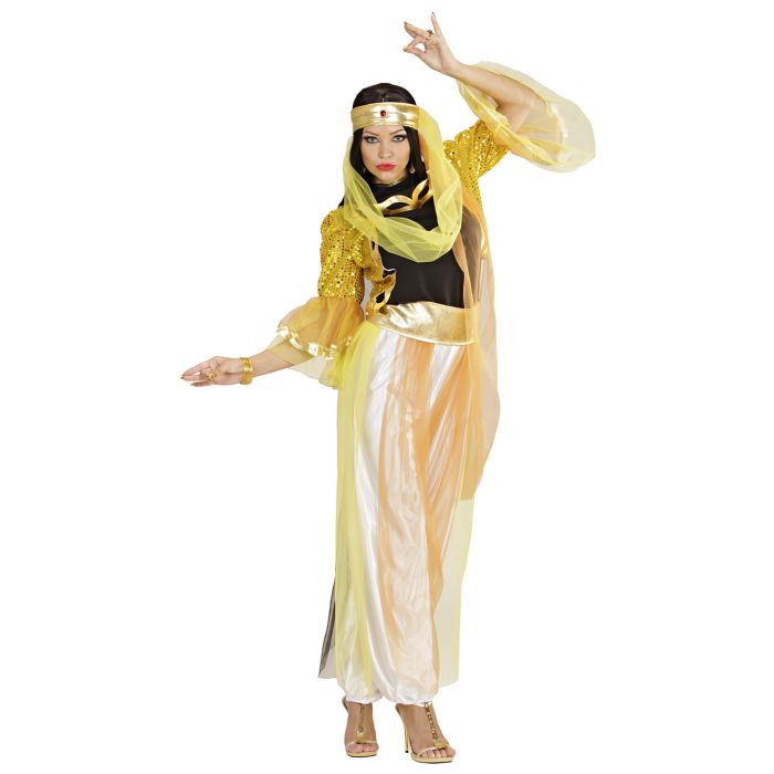 Luxurious harem dancer costume for ladies