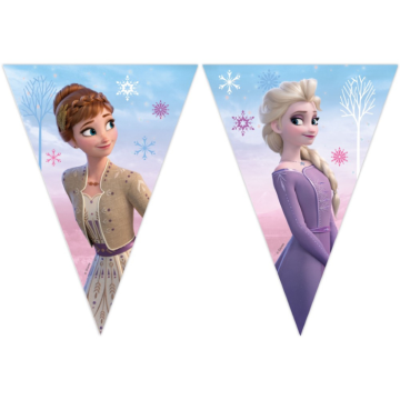Frozen II Flag Garland with 9 Flags 