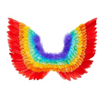 Rainbow Wings