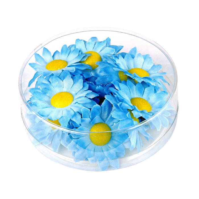 Artificial light blue daisies 20x