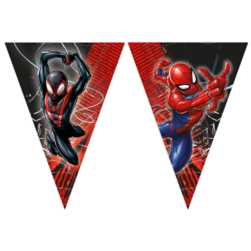 Spiderman World of Web bunting 2.3 metres