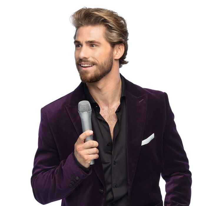 Fake silver-coloured microphone - 23.5 cm
