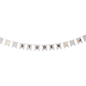 Student banner garland with flags 3 m