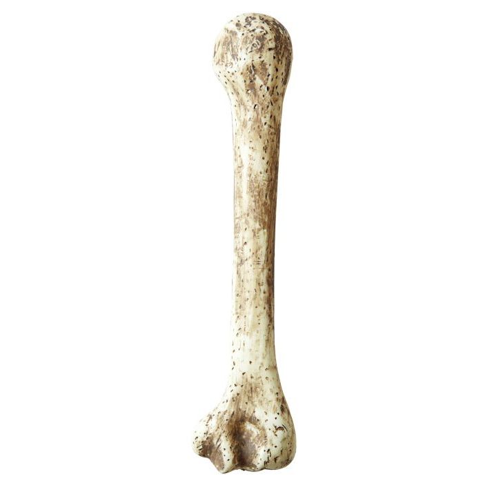 Caveman Bone - 36 cm