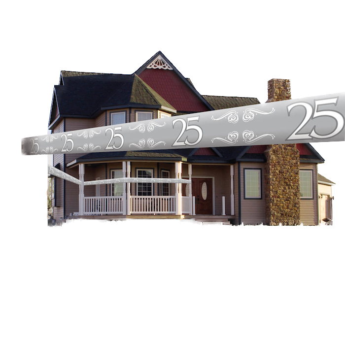 25 Years Anniversary Ribbon Silver - 15 m