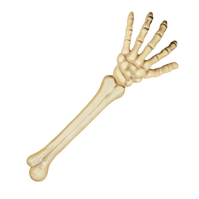 Halloween skeleton arm - 46 cm
