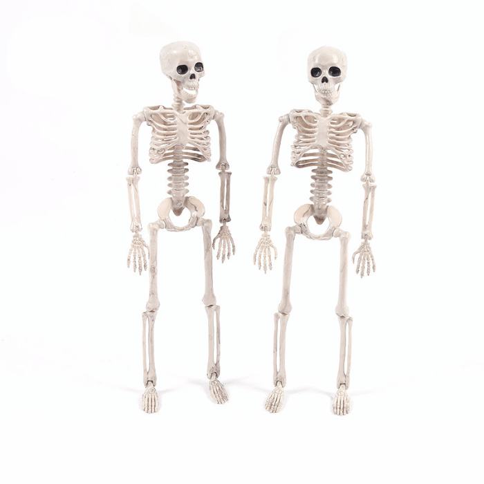 Halloween Skeleton