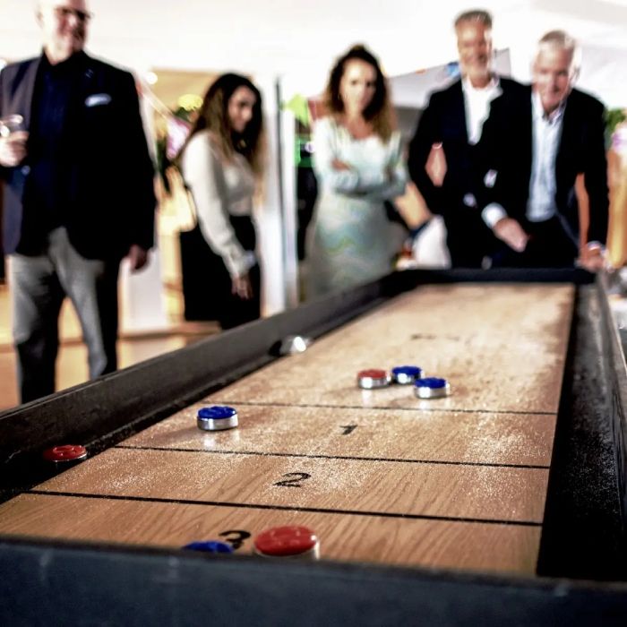 Rental of mega shuffleboard deluxe 280x75 cm 