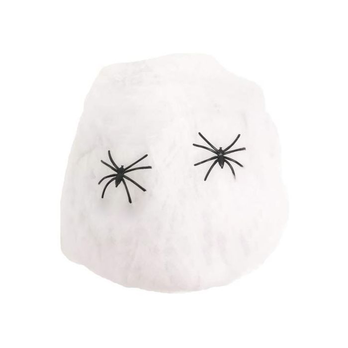 Cobweb With Spiders
