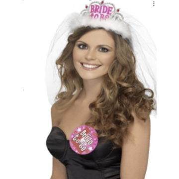 Bride To Be Tiara and Veil