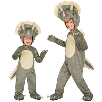 Grey Triceratops Costume for Kids