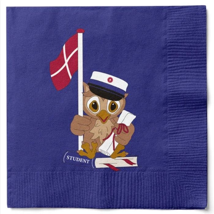 Napkins with owl and blue student cap 20x The Old Pharmacy
