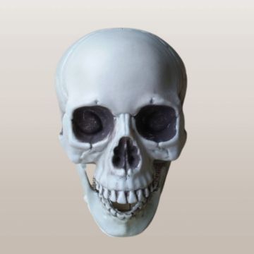 Skull decoration - 18 cm