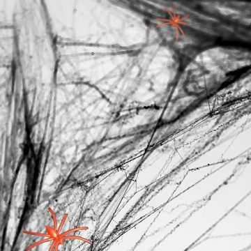 Black Spider Web With Spiders