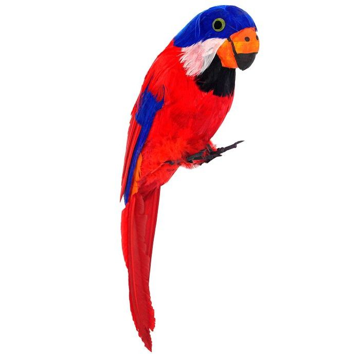 Red parrot with feathers - 35x14 cm