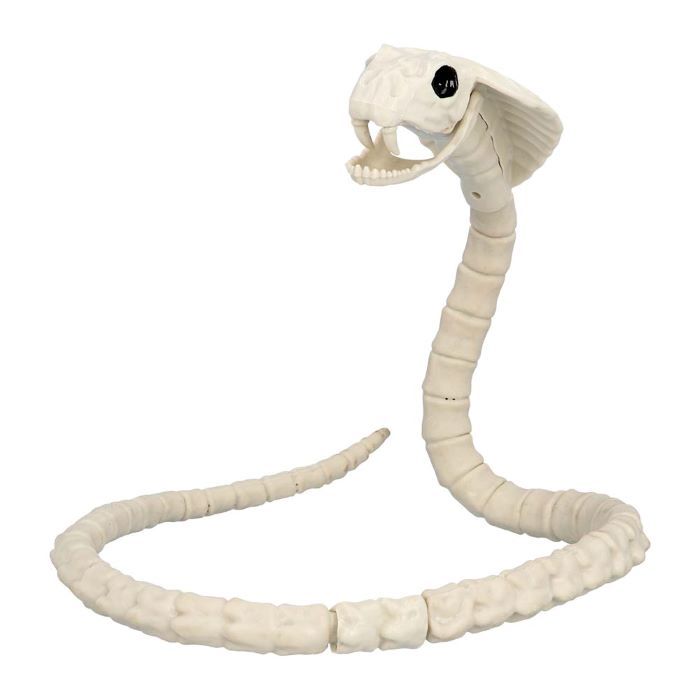 Snake skeleton decoration - 102x10 cm