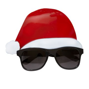 Gnome Hat Sunglasses