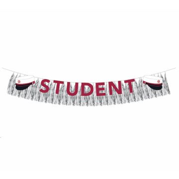 Graduation garland with silver fringes red 3 m