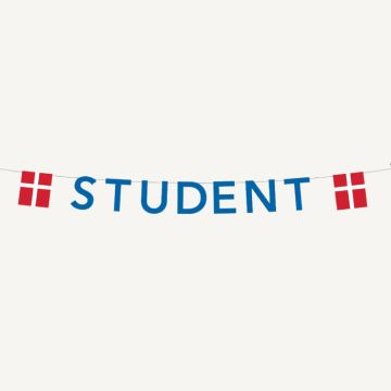 Blue student garland with flags 0.27X4 m
