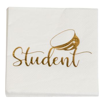 Napkins with student motif gold 16x - 33x33 cm