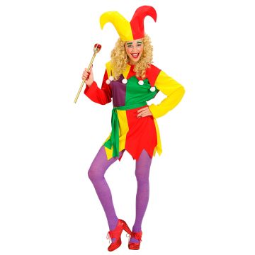 Ladies' Jester Costume with Dress
