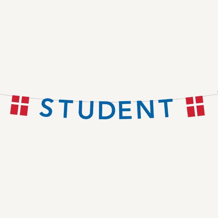 Blue student garland with flags 0.27X4 m