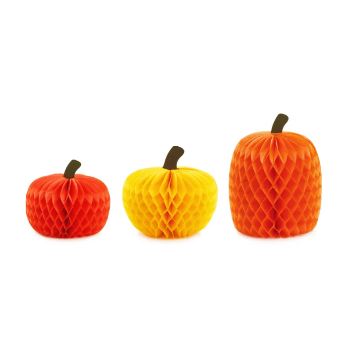 Pumpkin honeycombs 3x - 18-30 cm