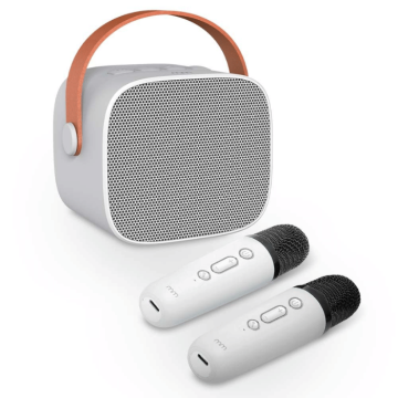 Karaoke to go including 2 microphones