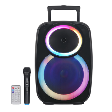 Speaker NDR-A55 40W - 39x30x61 cm