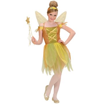 Forest Fairy Costume with Wings and Headband