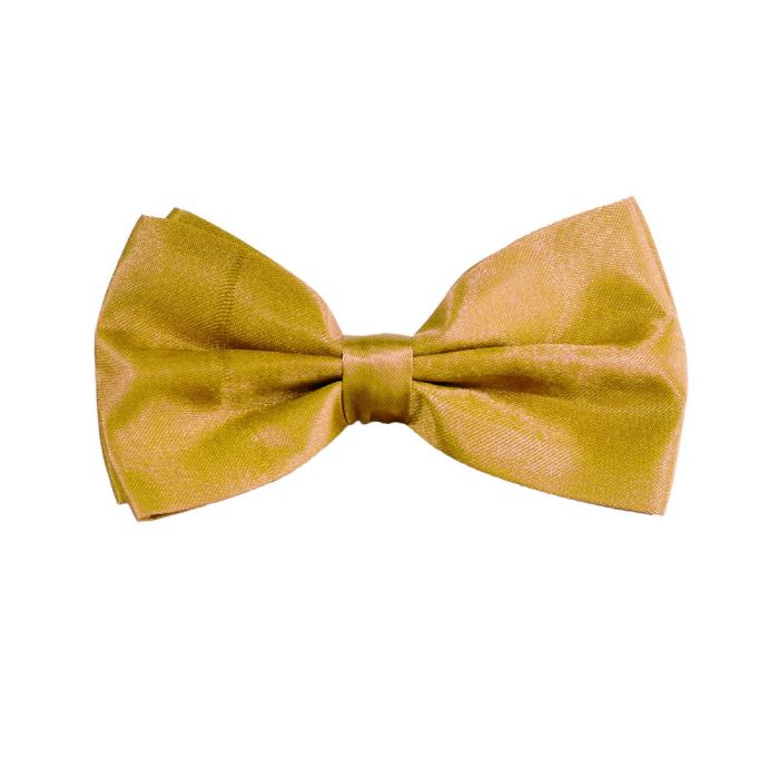 Gold Butterfly