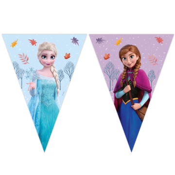 Frozen II Flag Garland with 9 Flags 